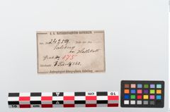 Etiketten zu Bronzebrillenfibel (NHMW-PRAE-024259)